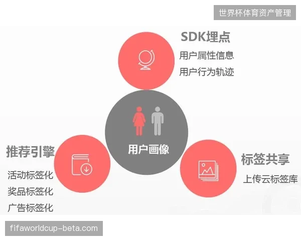 未来三年基于多维用户行为画像的赛事内容运营将锁定体育版权市场的核心分配权